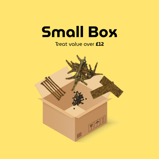 Custom Dog Treat Box - Small