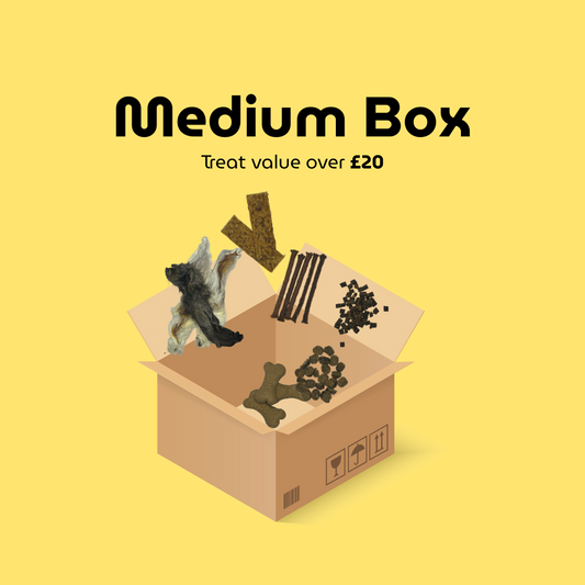 Custom Dog Treat Box - Medium