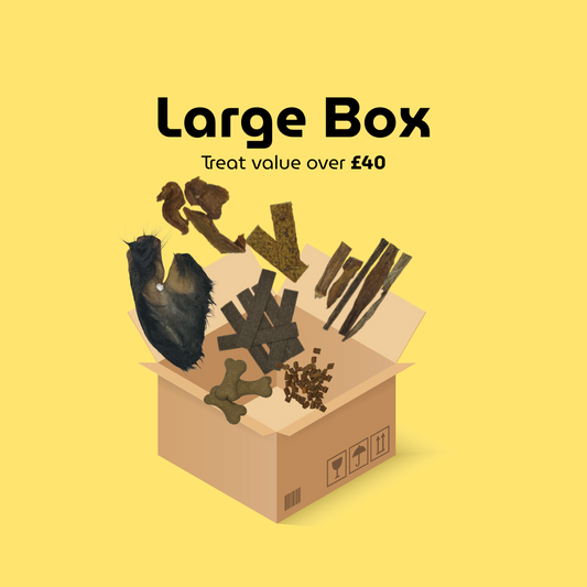 Custom Dog Treat Box - Large