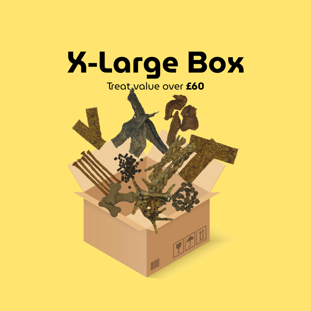 Custom Dog Treat Box - Extra Large