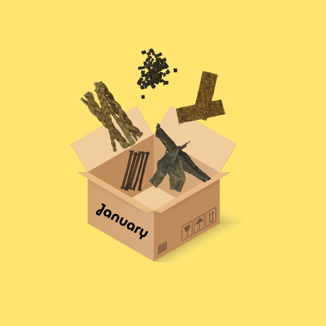 February Mixed Dog Treat Box