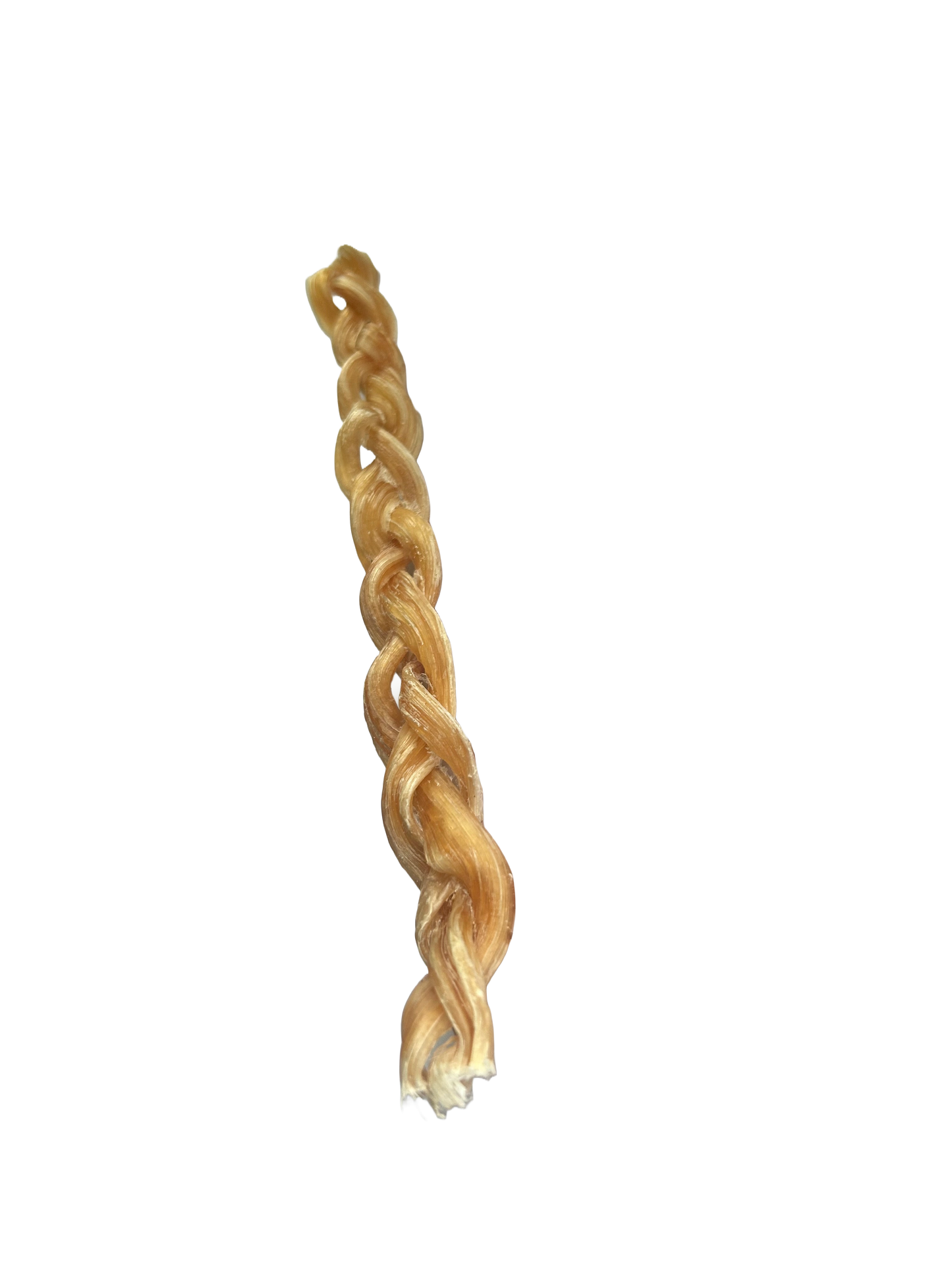 Braided Ostrich Tendon