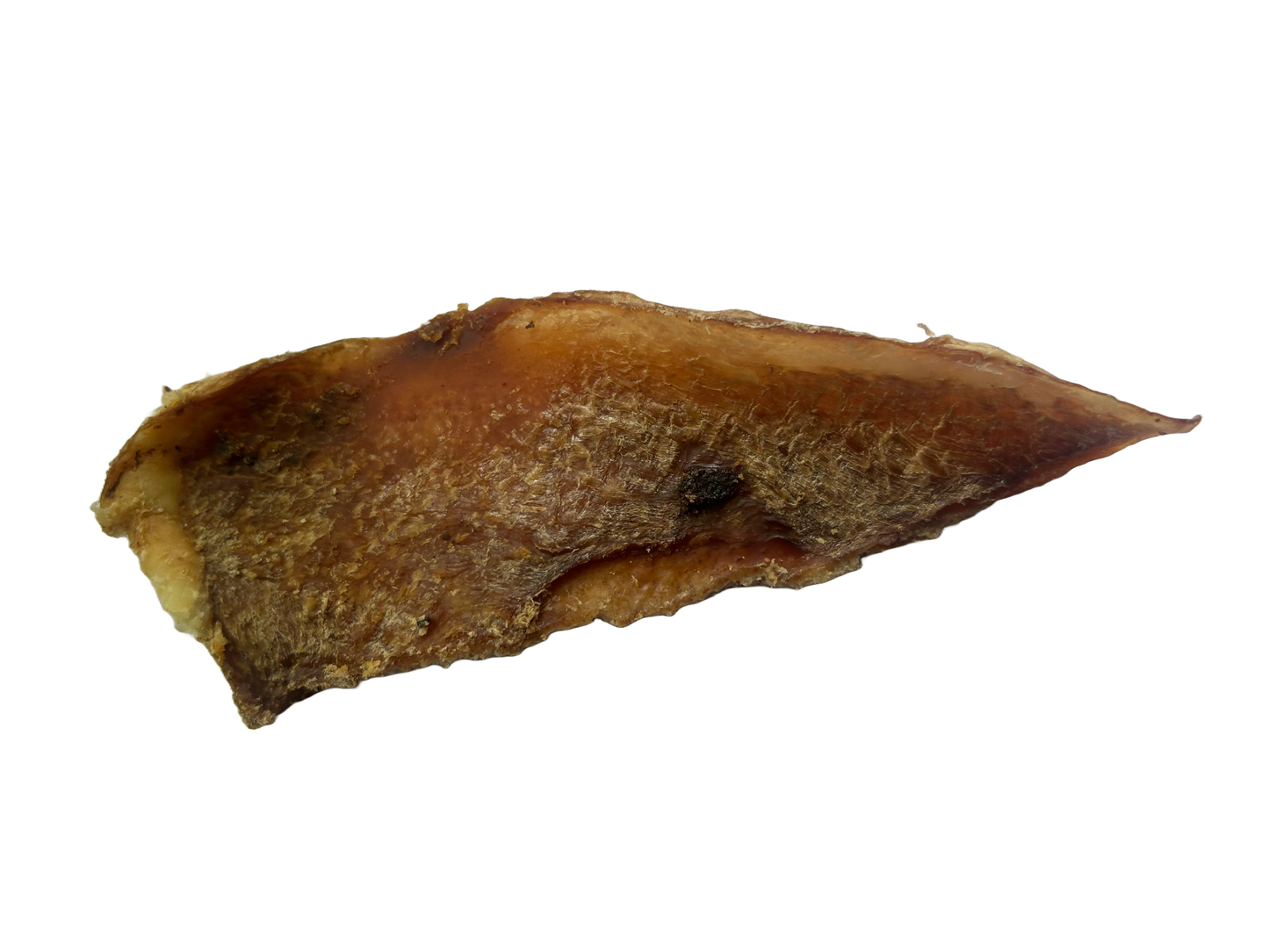 Moon Bone