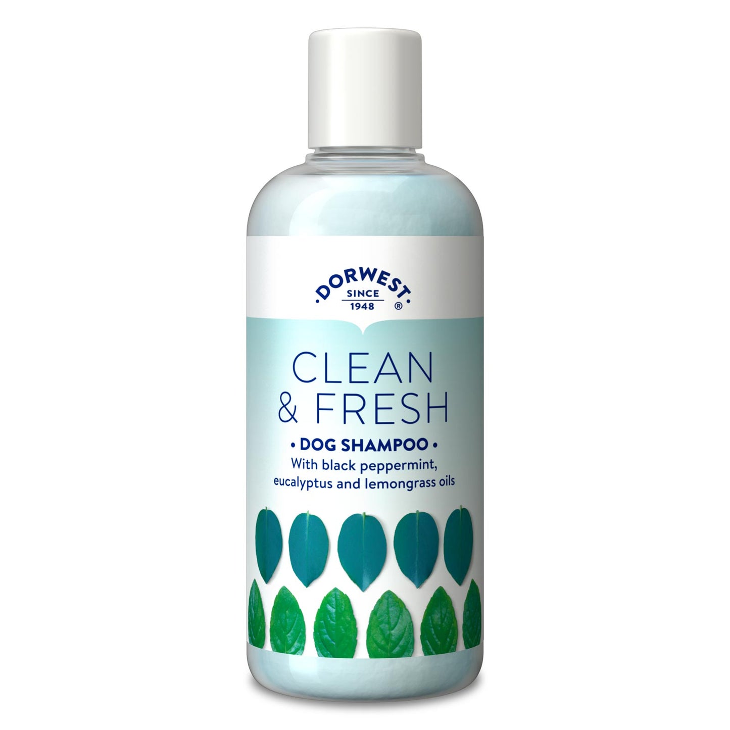 Clean & Fresh Dog Shampoo