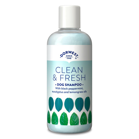 Clean & Fresh Dog Shampoo