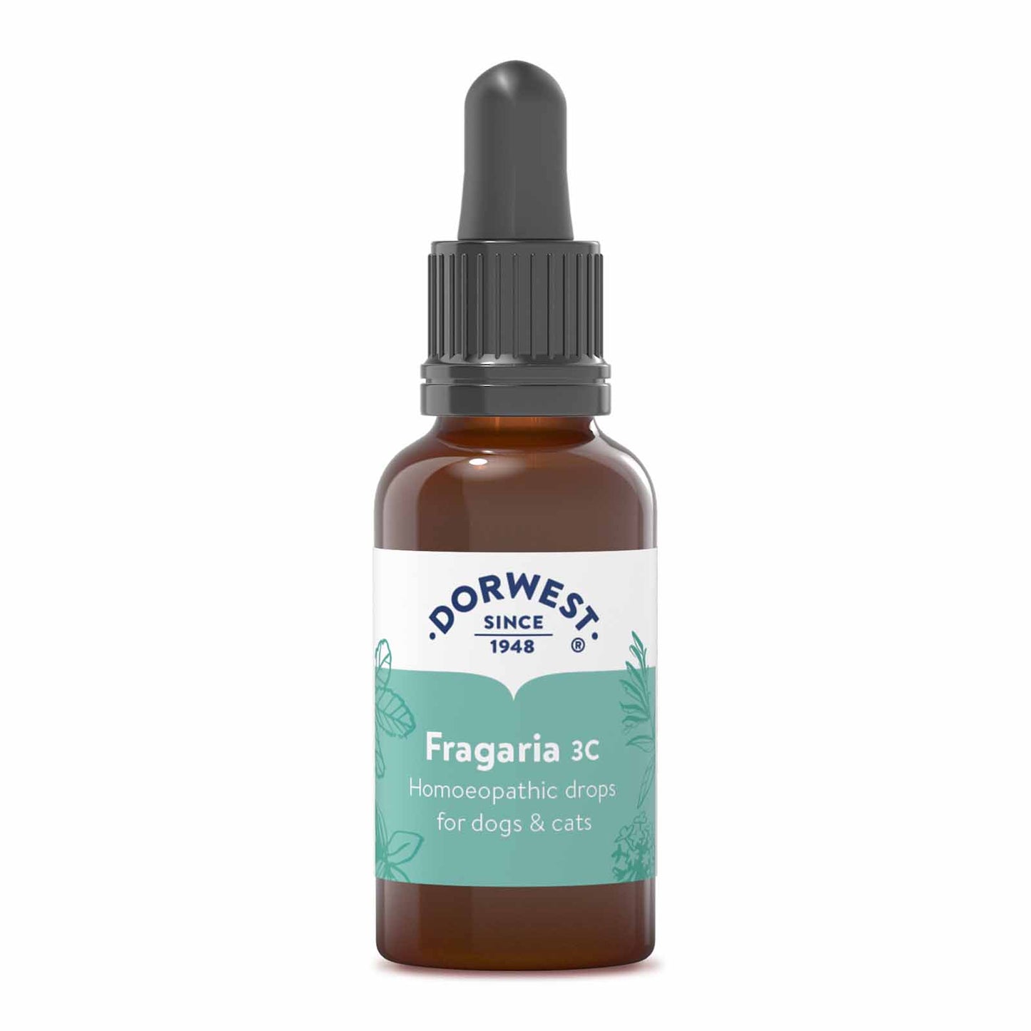 Homeopathic Fragaria 3C