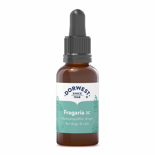 Homeopathic Fragaria 3C
