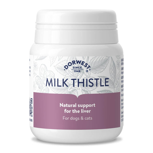 Dorwest Herbs Milk Thistle - 100 Tabs