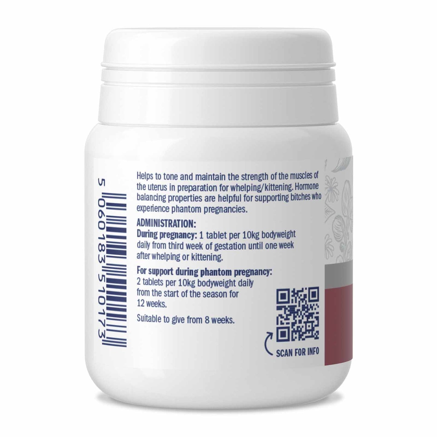 Dorwest Herbs Raspberry Leaf 100 Tablets