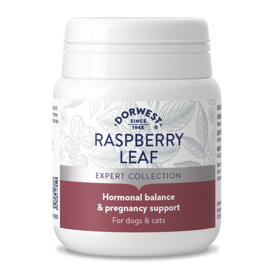 Dorwest Herbs Raspberry Leaf 100 Tablets