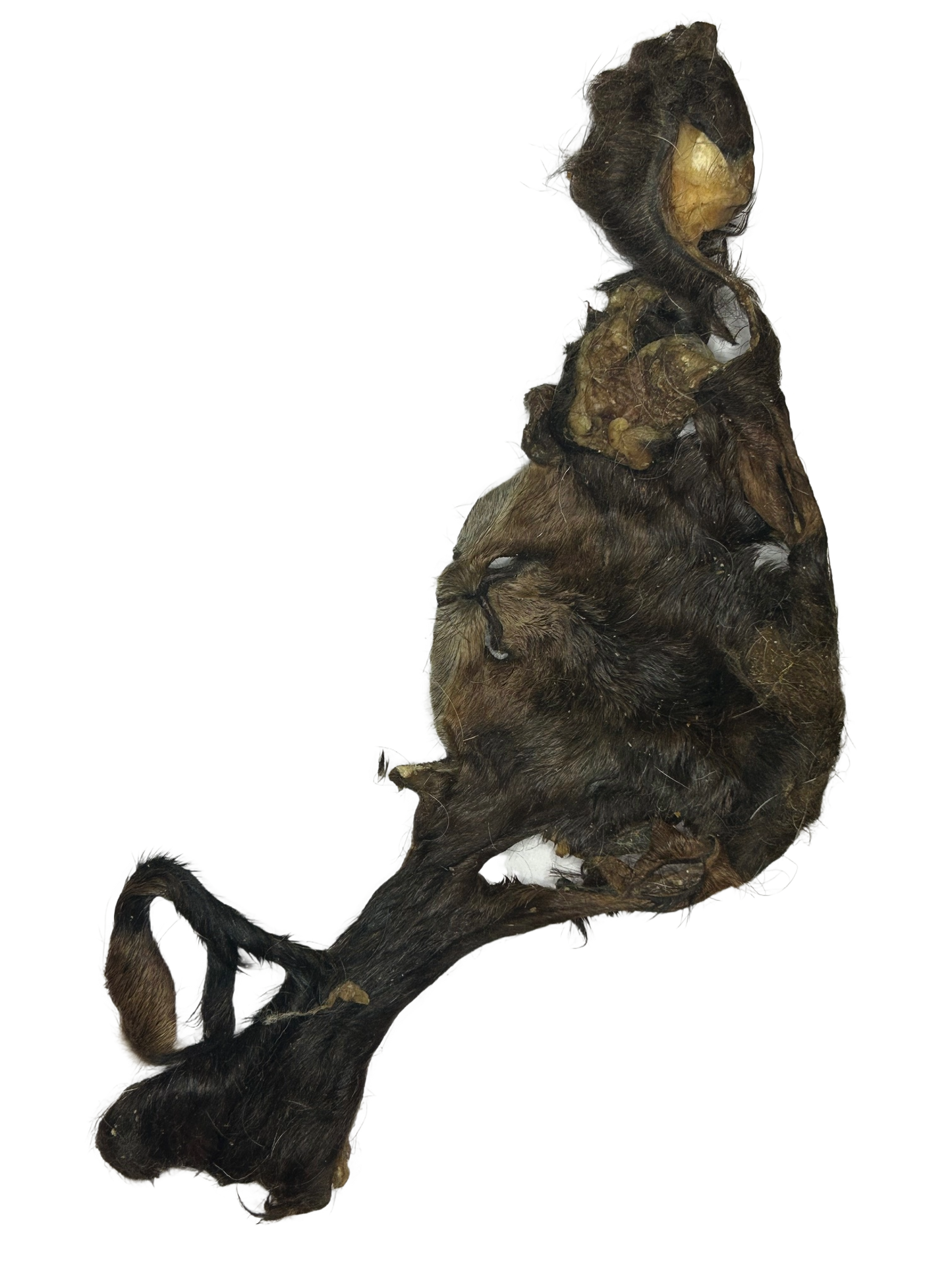 Furry Lamb Bark - LIMITED EDITION - DISCONTINUED LINE