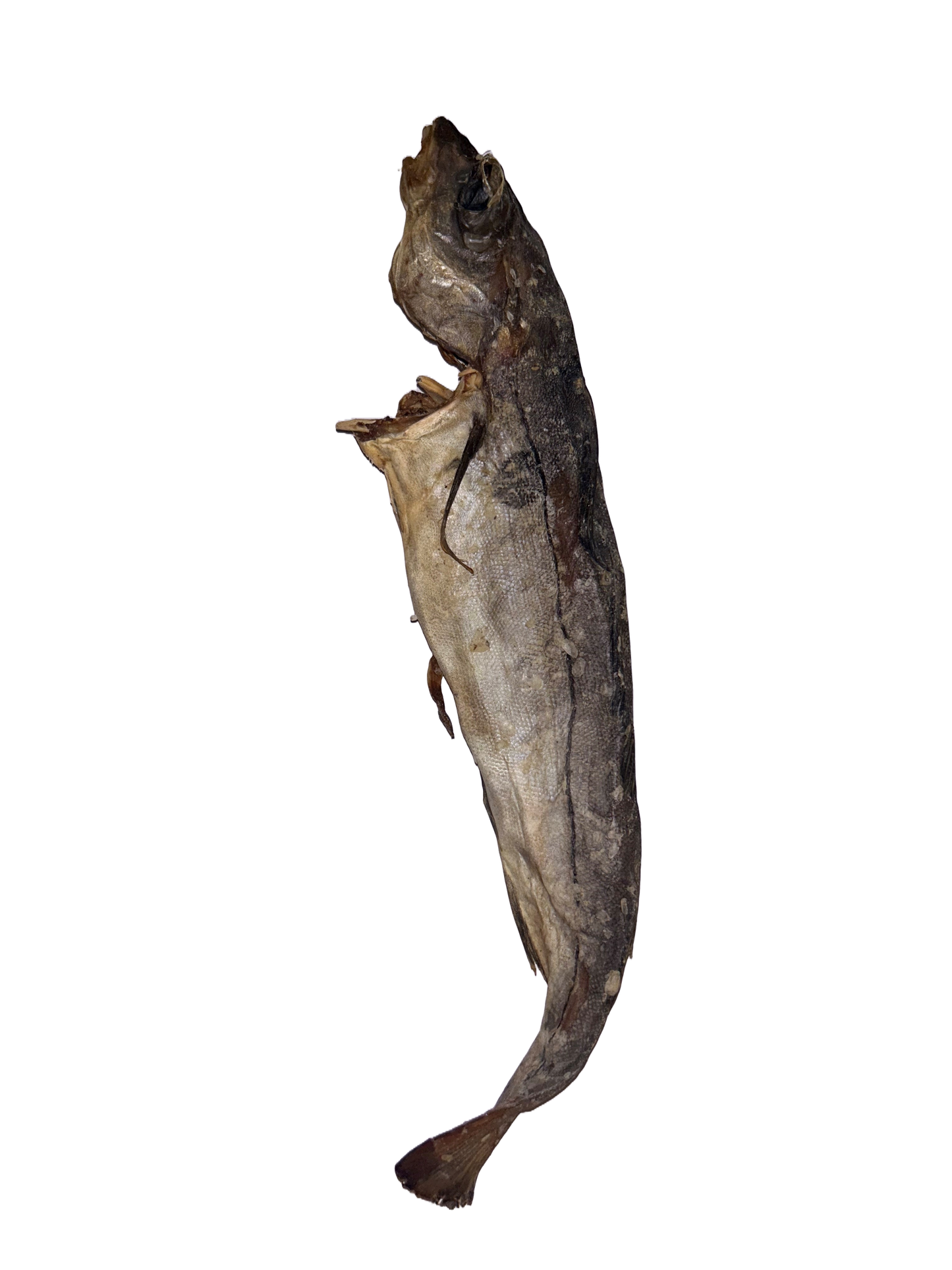 Whole Dried Haddock