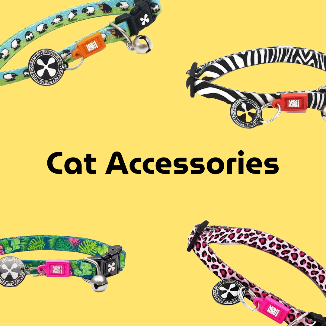 Cat Accessories