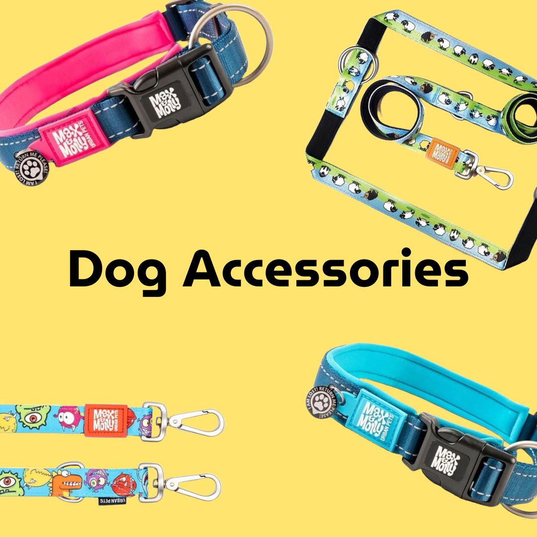 Dog Accessories
