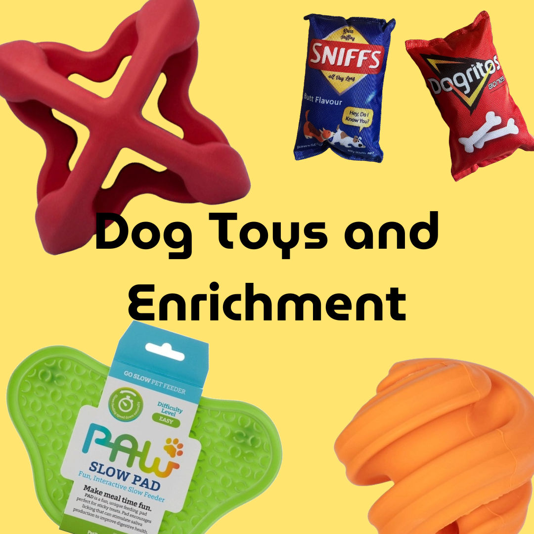 Dog Toys and Enrichment