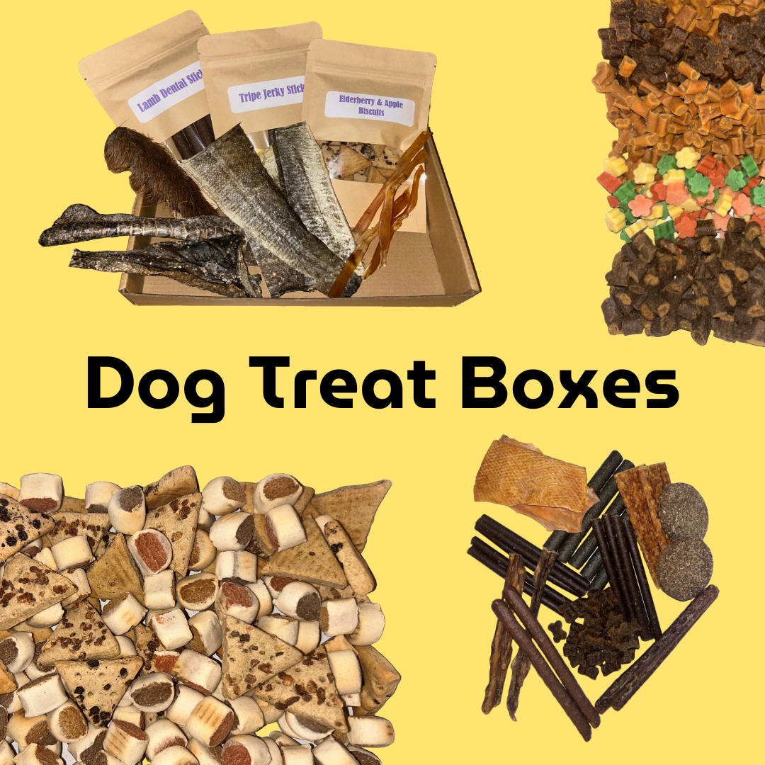 Dog Treat Boxes