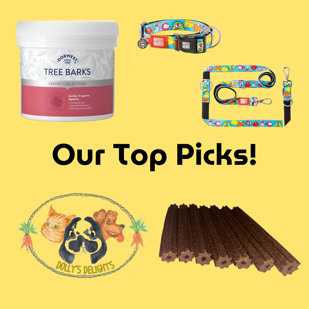 Our Top Picks!