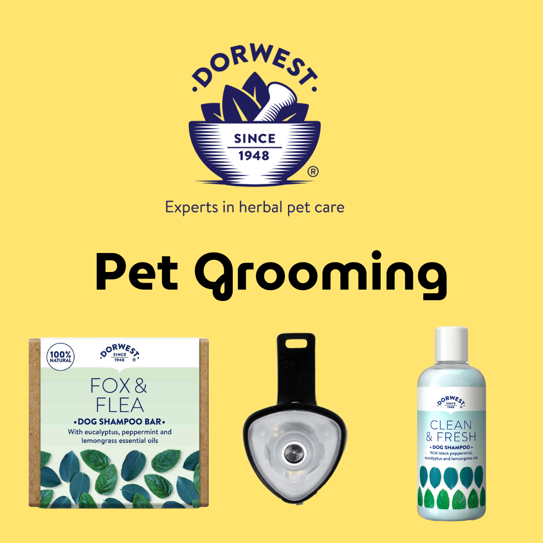 Pet Grooming