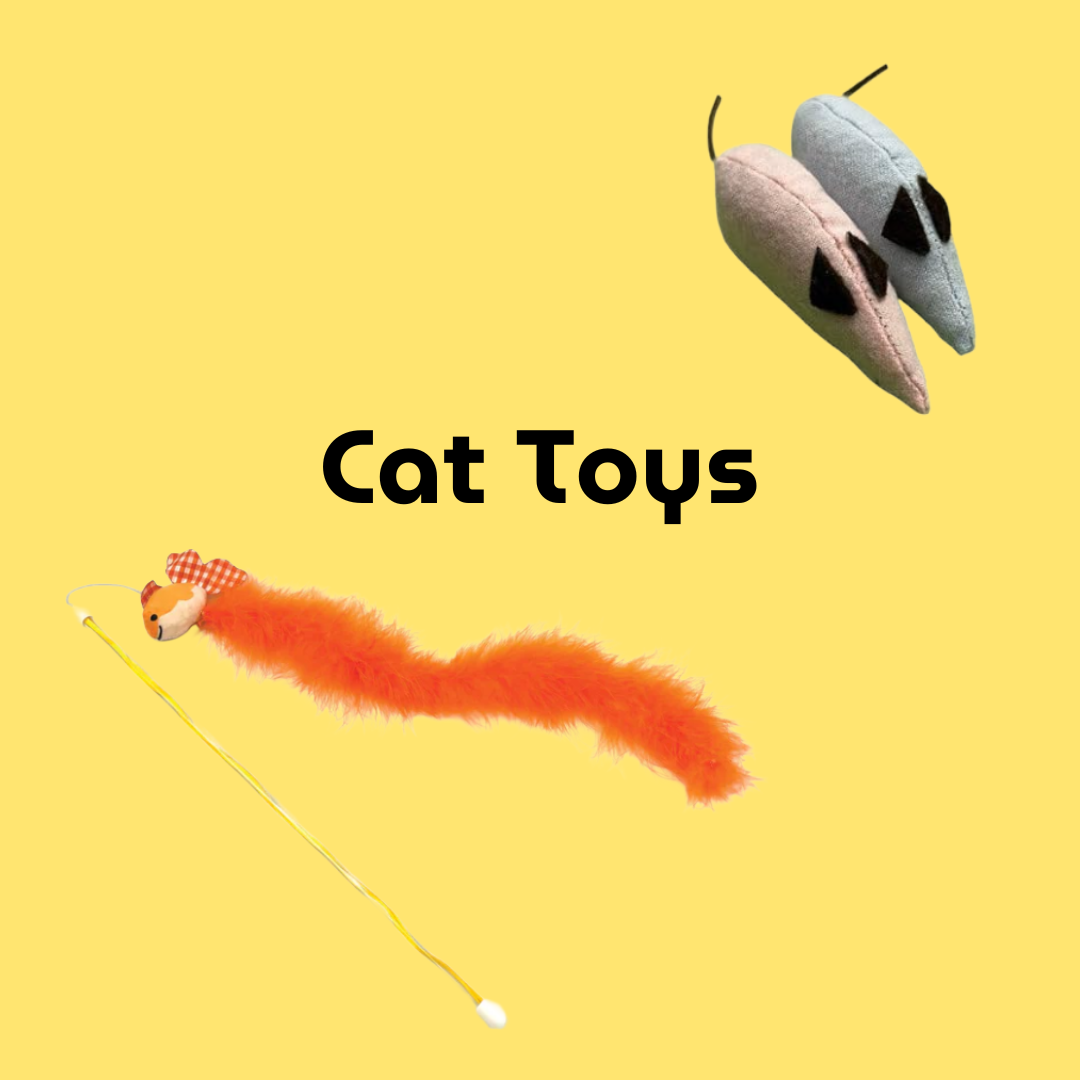 Cat Toys and Enrichment