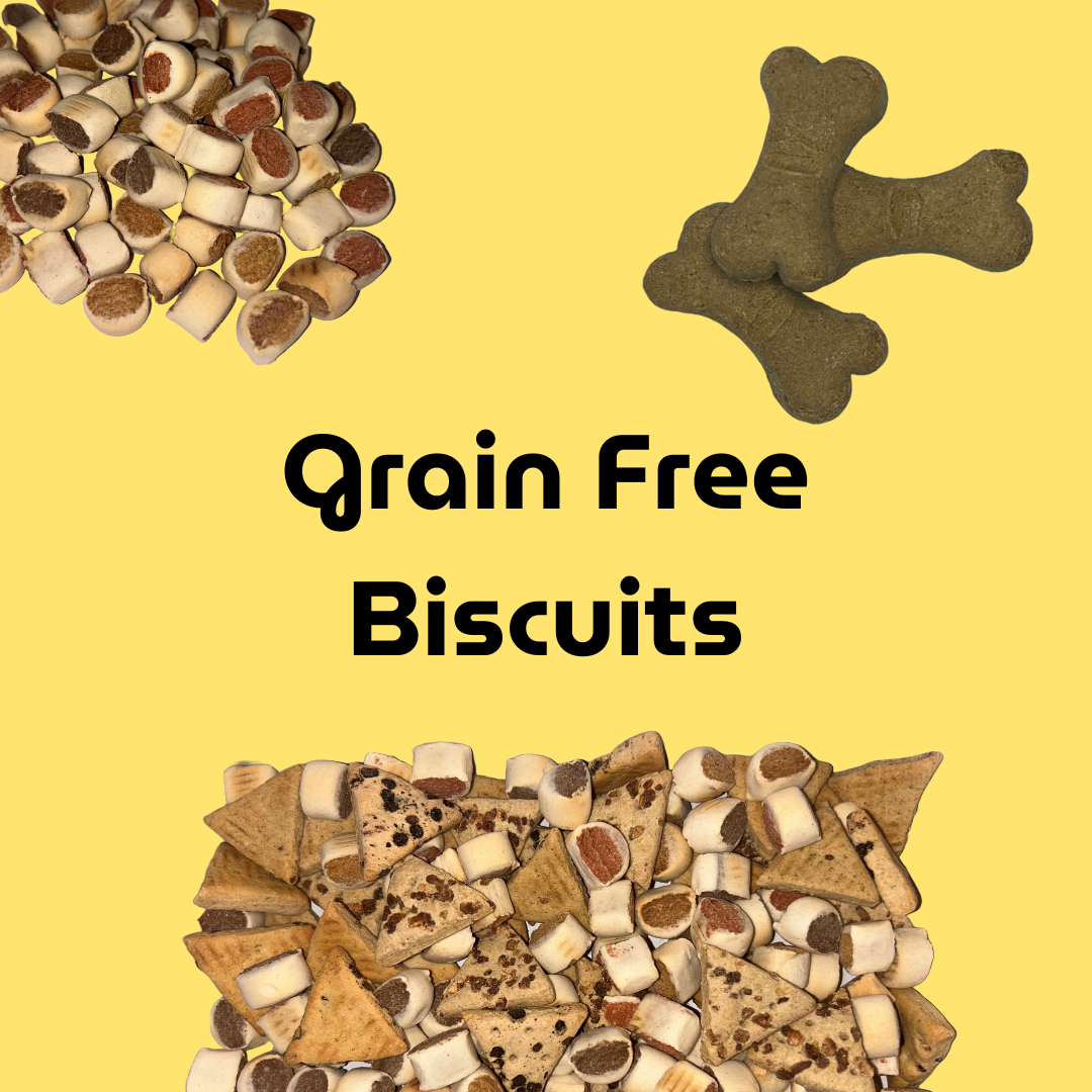 Grain Free Biscuits