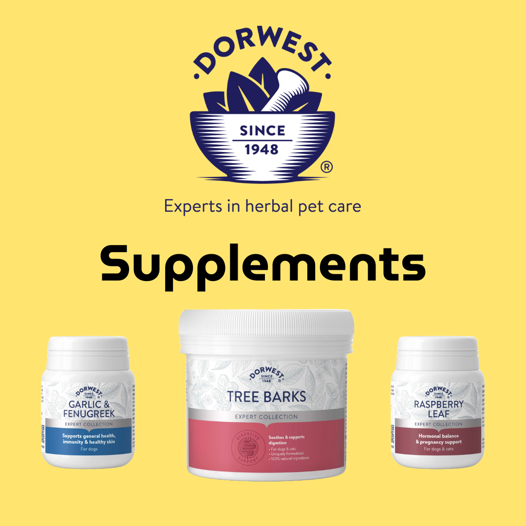 Supplements
