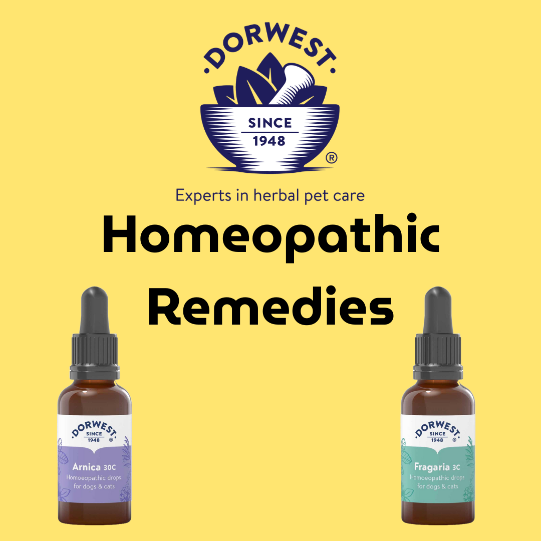 Homeopathic Remedies