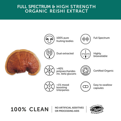 Together Health Organic Reishi Mushroom – 60 Capsules