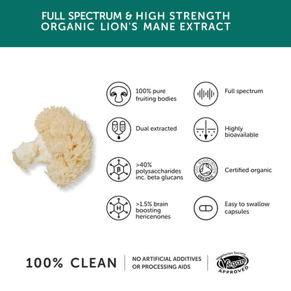 Organic Lions Mane Mushroom - 60 Capsules