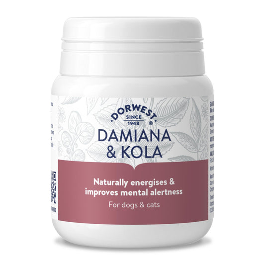 Dorwest Herbs Damiana & Kola - 100 tabs