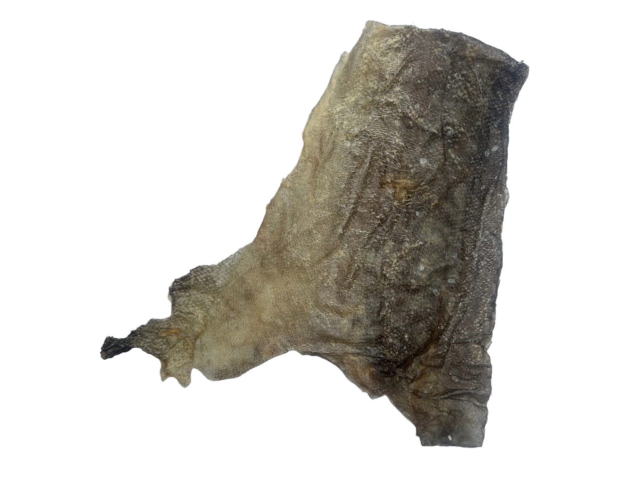 Fish Skin Flats