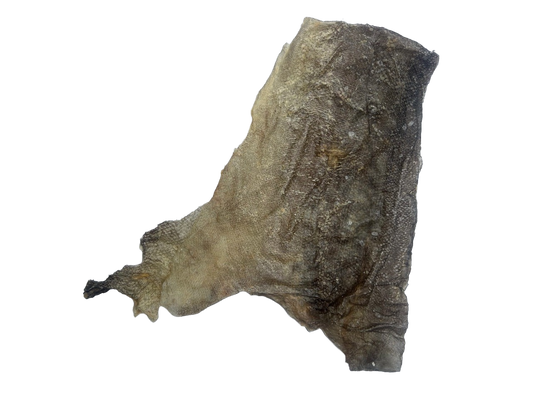 Fish Skin Flats