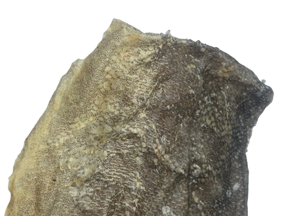 Fish Skin Flats