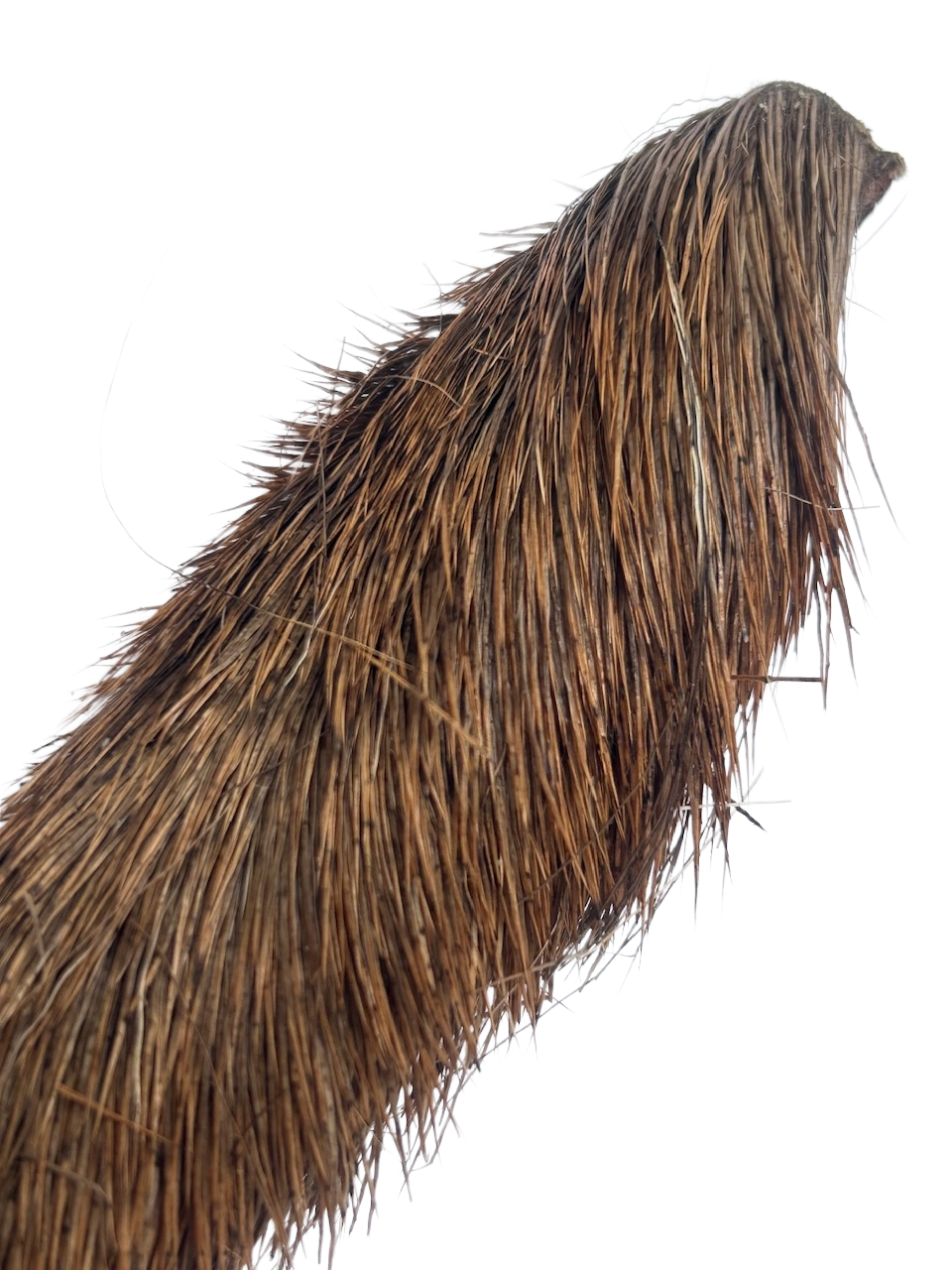 Hairy Venison Sticks