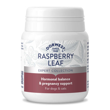 Dorwest Herbs Raspberry Leaf 100 Tablets