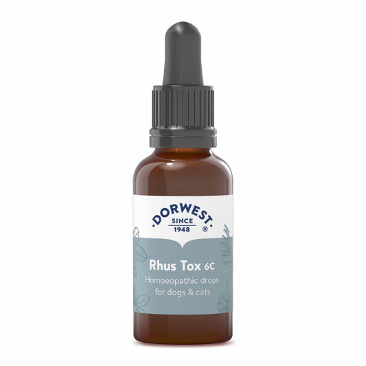 Homeopathic Rhus Tox 6C