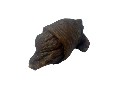 Ostrich Croissant
