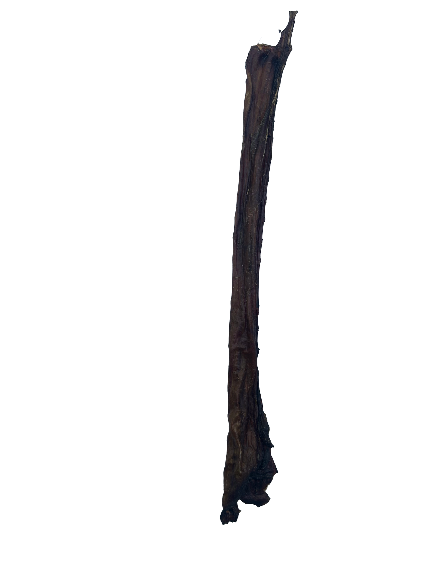 Long Ostrich Oesophagus