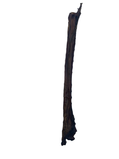 Long Ostrich Oesophagus