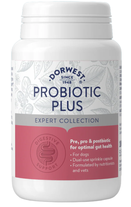 Dorwest Probiotics Plus