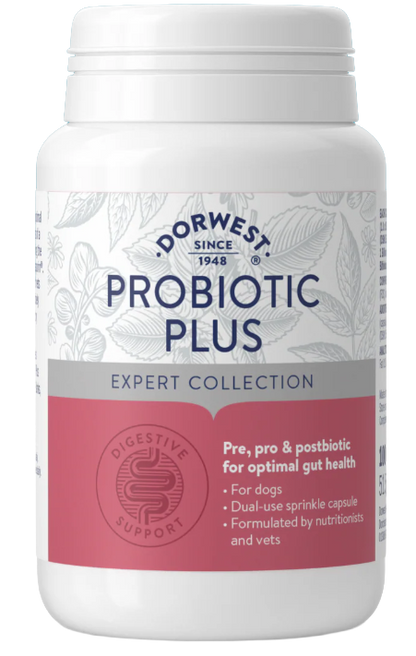 Dorwest Probiotics Plus