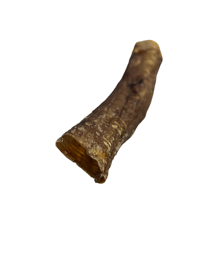 Ostrich Trachea