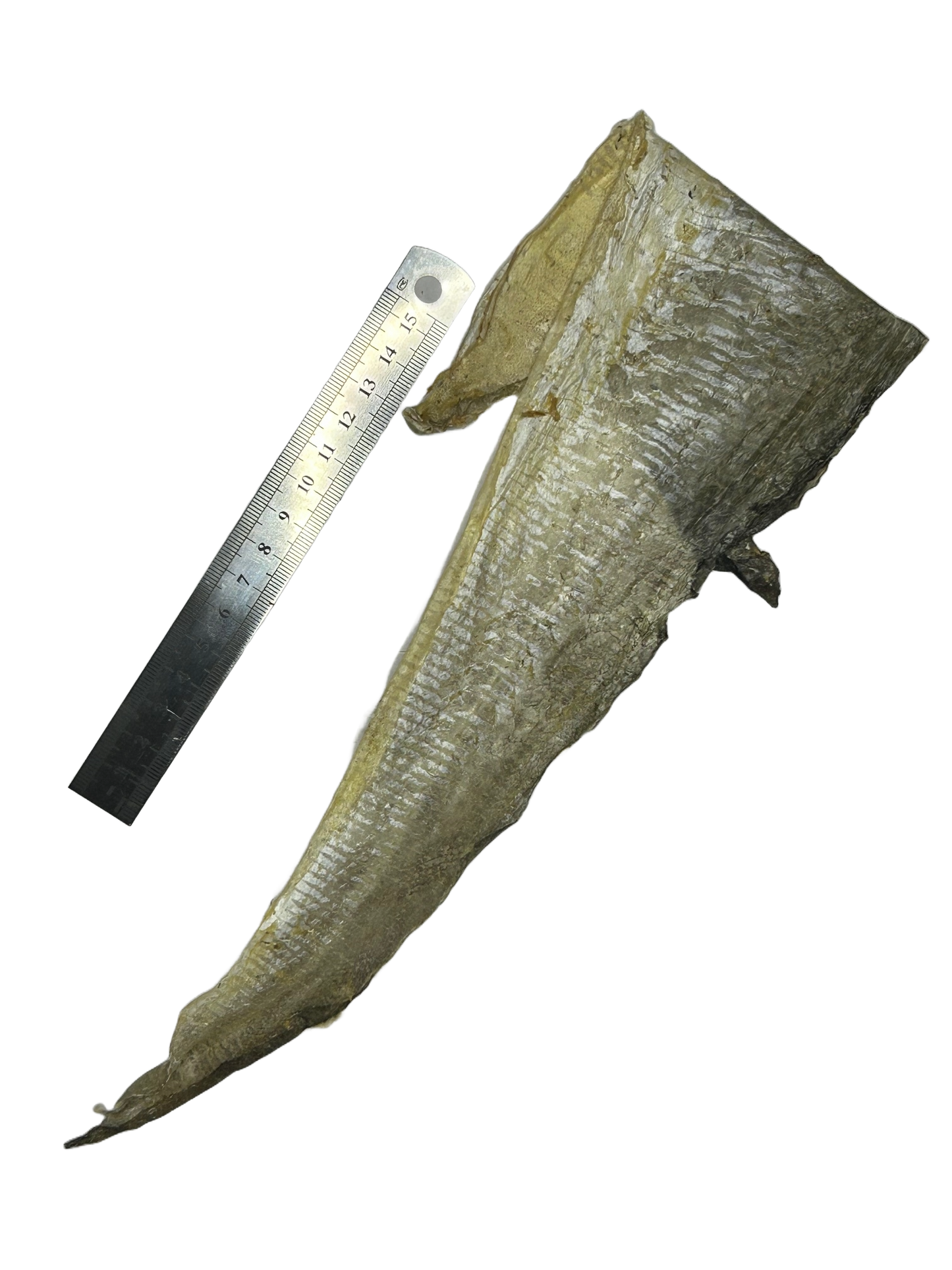 Fish Skin Flats