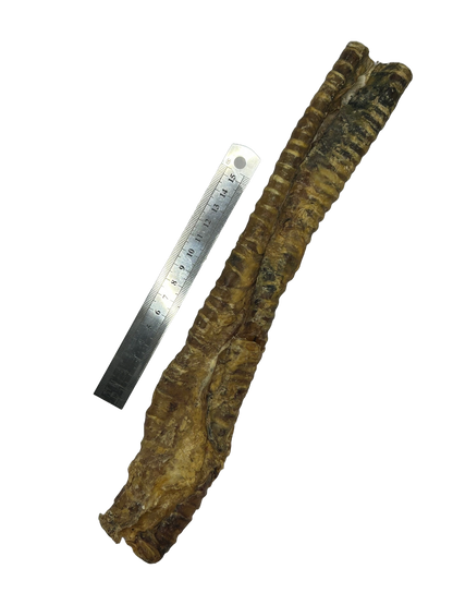 Beef Trachea
