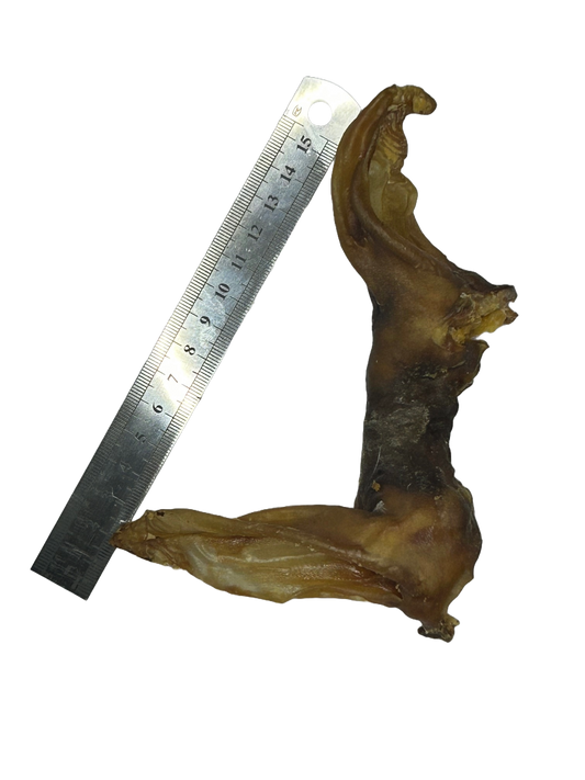 Plain Lamb Ears