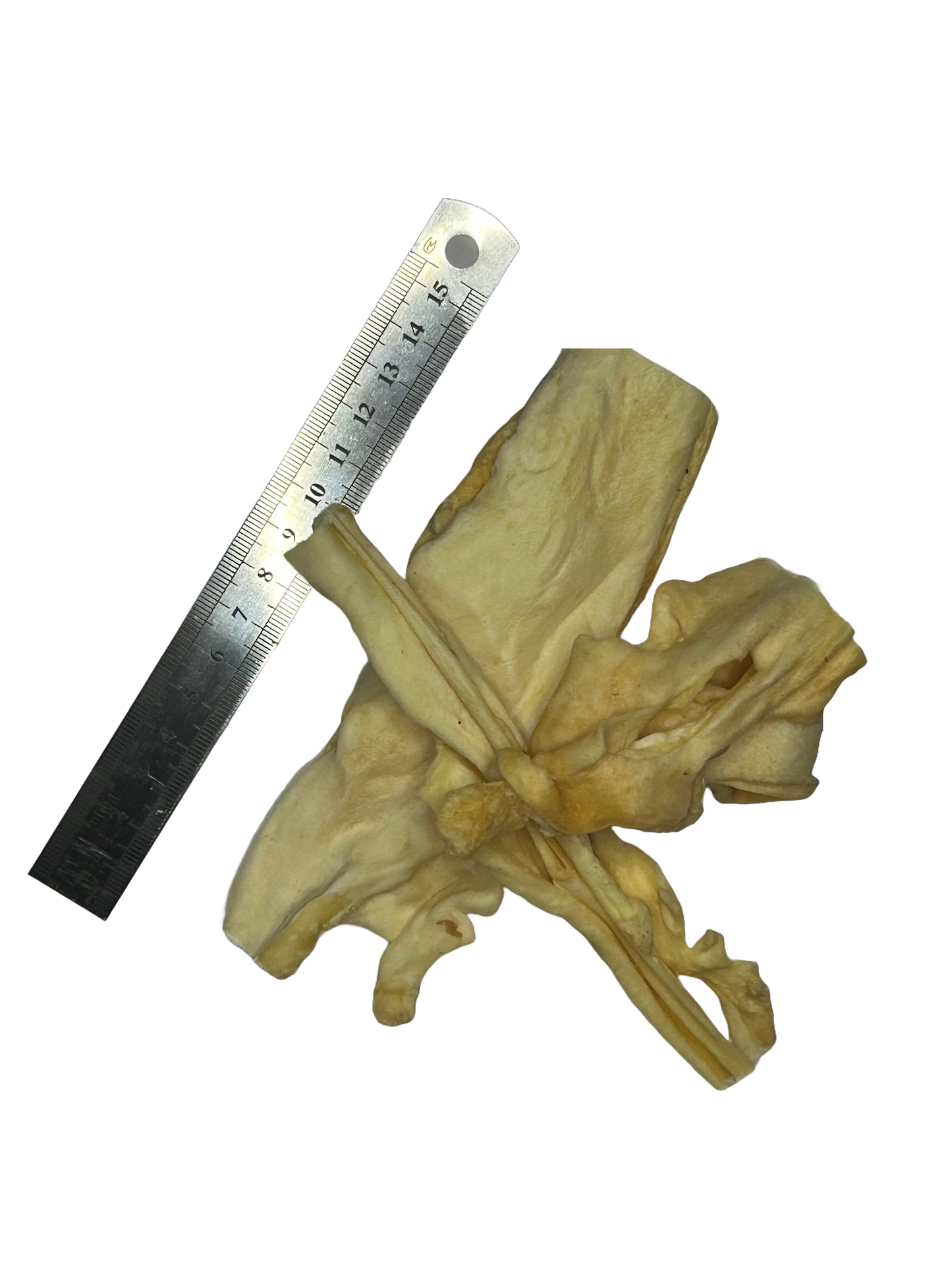 Lamb Muscle Meat