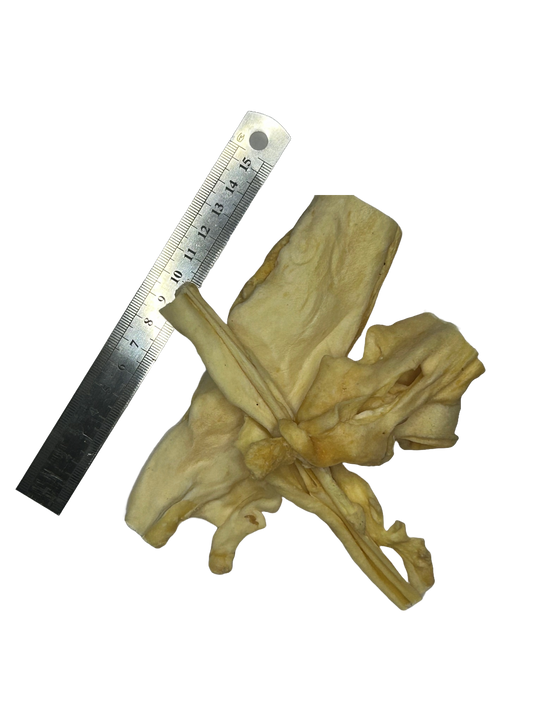 Lamb Muscle Meat