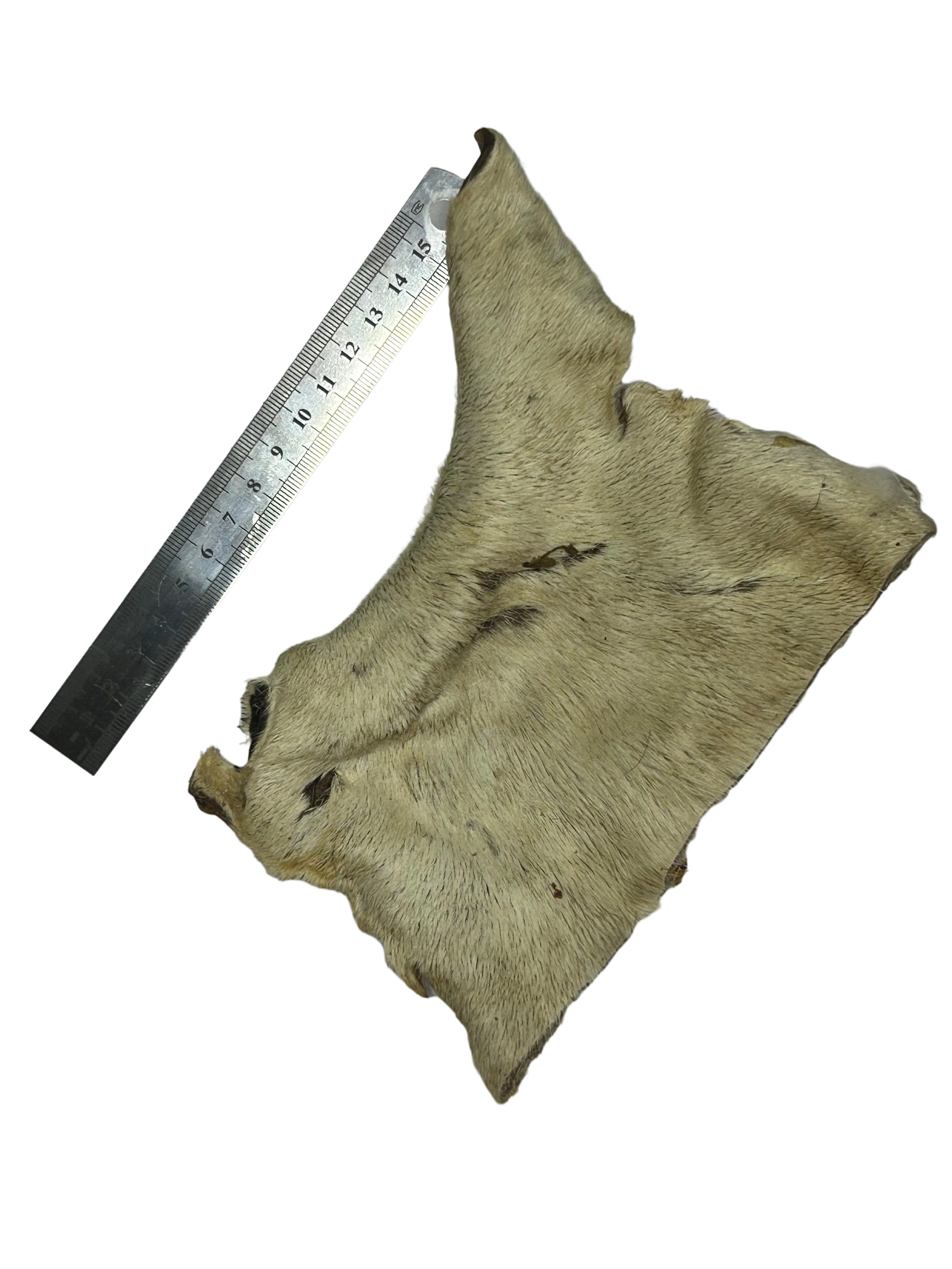 Hairy Beef Bark