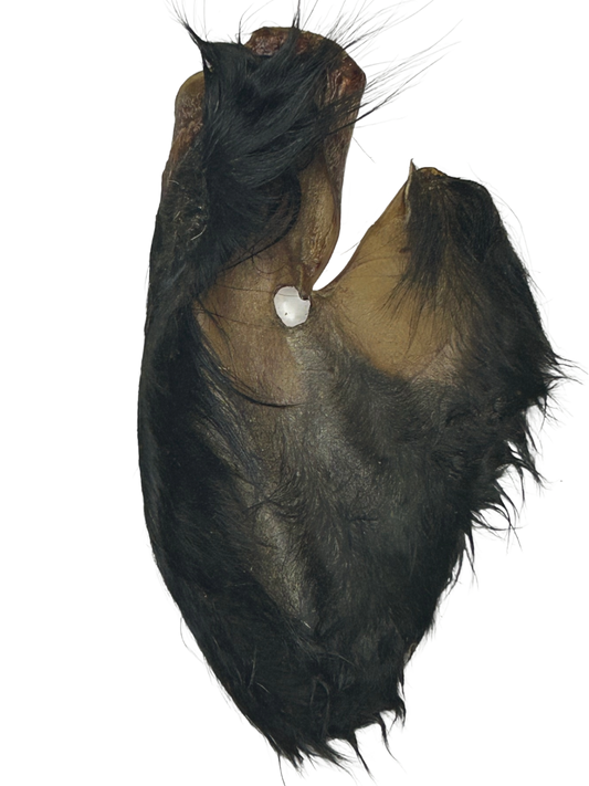 Hairy Cow Ears