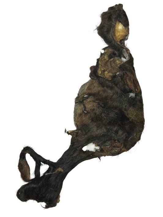 Furry Lamb Bark - LIMITED EDITION - DISCONTINUED LINE