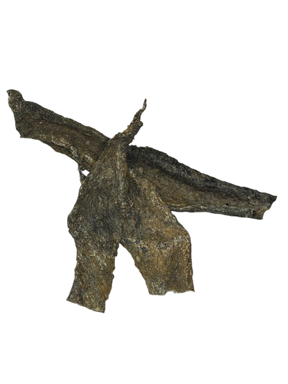 Ostrich Skin Slices
